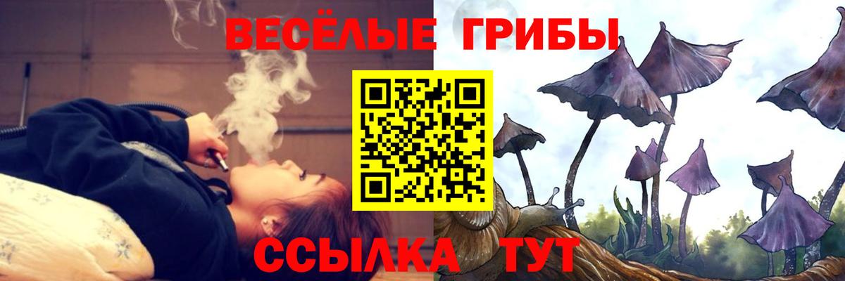 Пятигорск  Псилоцибиновые грибы прущие грибы  Галлюциногенные грибы Cubensis  Вход с VPN 
