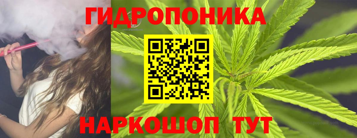 МАРИХУАНА OG Kush Пятигорск
